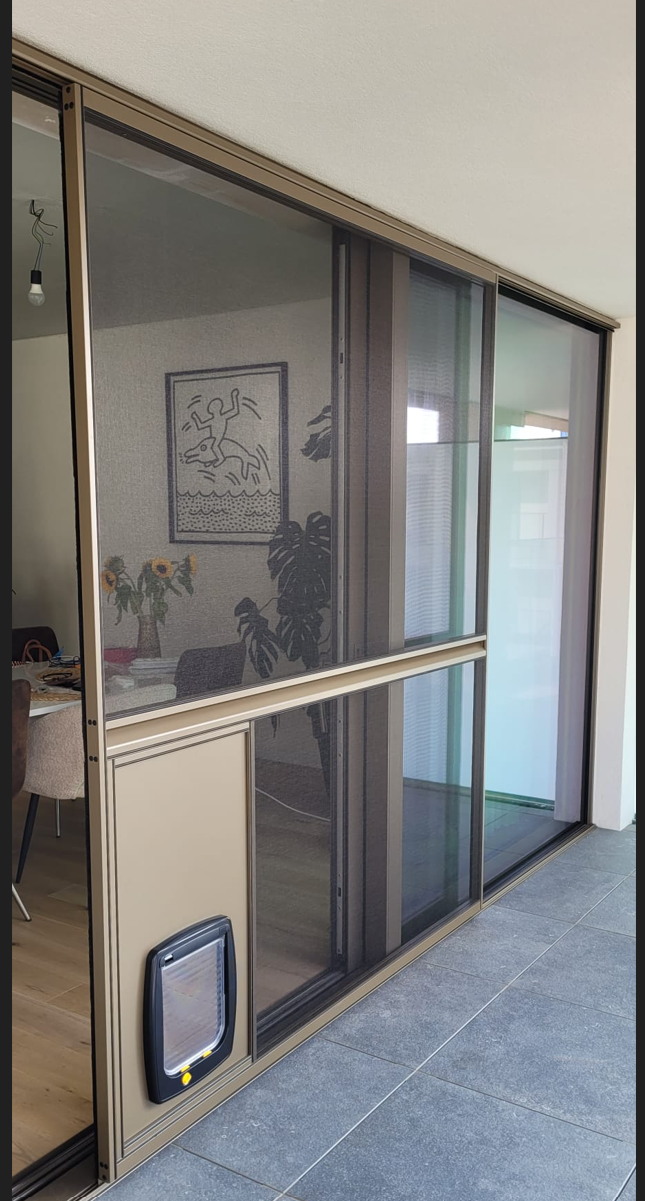 Sliding door with pet entrance